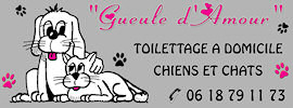 Gueule d'Amour, toilettage à domicile, toilettage chien et chats, toilettage Boussac